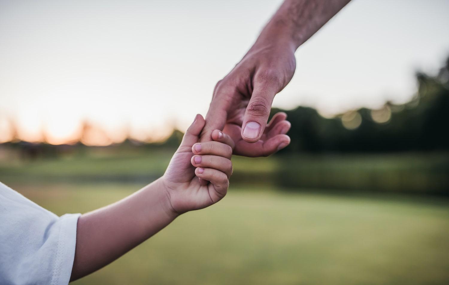 Nachhaltigkeit und Verantwortung als zentrale Themen der Firmen-Philosophie